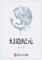 幻造纪元封面