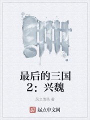 最后的三国2:兴魏封面