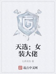 玺皇传封面