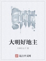 大明好地主封面