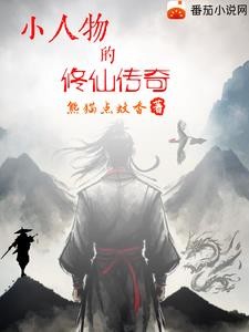 小人物的修仙传奇封面