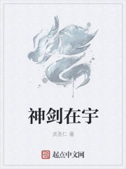 神剑在宇封面