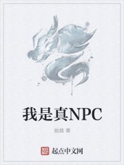 我是真NPC封面
