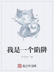 我是一个陷阱封面