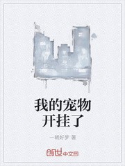 我的宠物开挂了封面