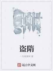 盗隋封面