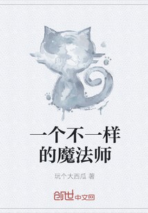 一个不一样的魔法师封面