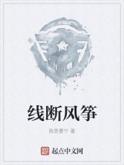线断风筝封面
