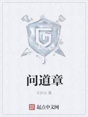 问道章封面