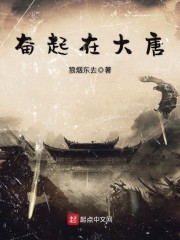 奋起在大唐封面