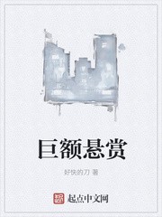 巨额悬赏封面