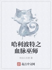 哈利波特之血脉巫师封面