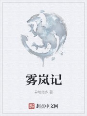 雾岚记封面