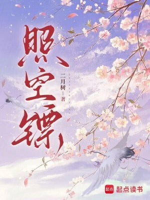 照空镖封面