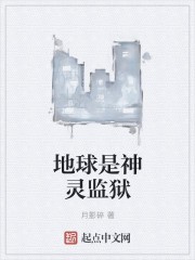 地球是神灵监狱封面