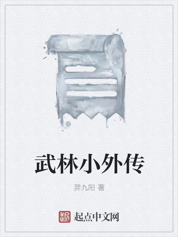 武林小外传封面