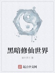 黑暗修仙世界封面