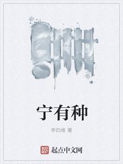 宁有种封面