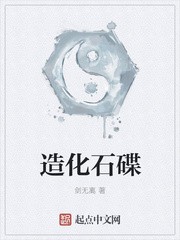 造化石碟封面