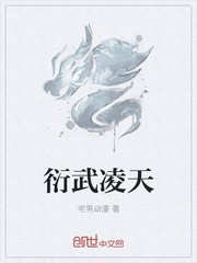 衍武凌天封面