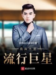 我真不是流行巨星封面