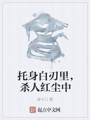 托身白刃里,杀人红尘中封面