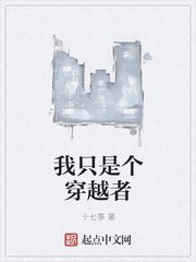我只是个穿越者封面
