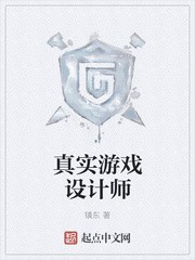 真实游戏设计师封面