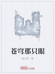 苍穹那只眼封面