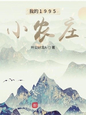 我的1995小农庄封面