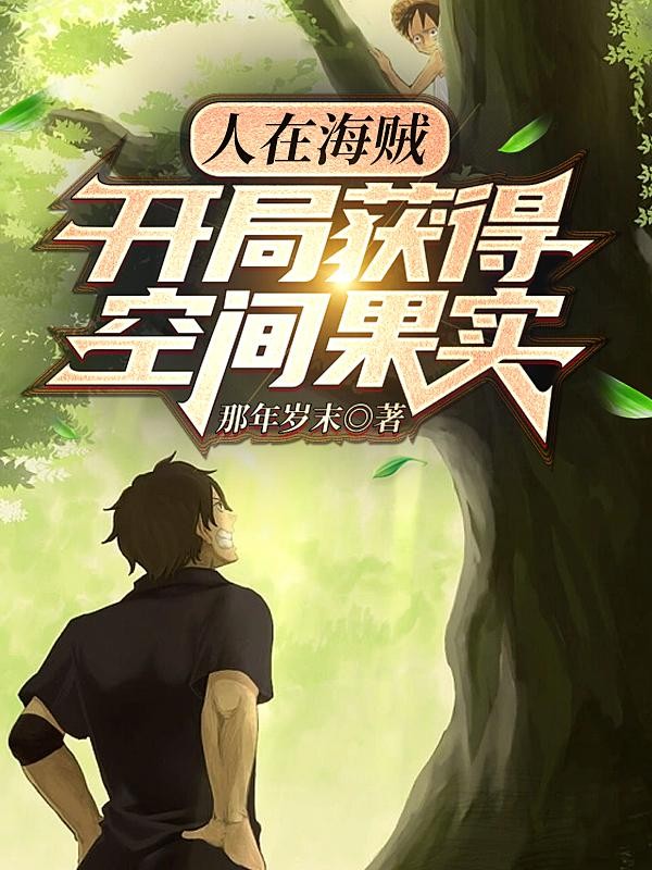 人在海贼,开局获得空间果实封面