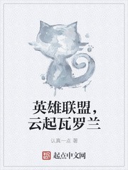 英雄联盟,云起瓦罗兰封面