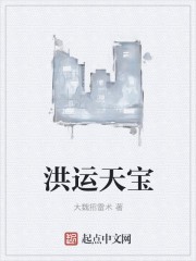 洪运天宝封面