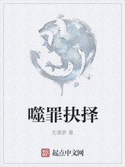 噬罪抉择封面