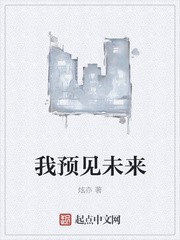 我预见未来封面