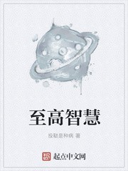 至高智慧封面