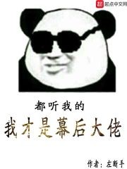 我才是幕后大佬封面