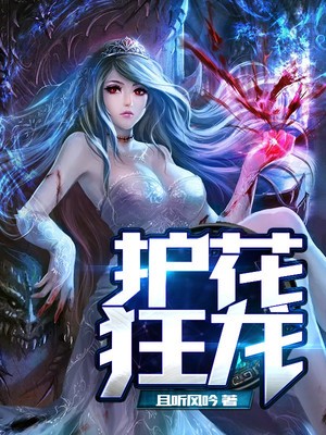 护花狂龙封面