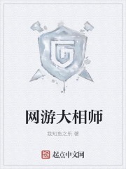 网游大相师封面