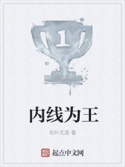 内线为王封面