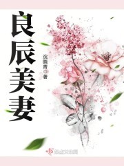 良辰美妻封面