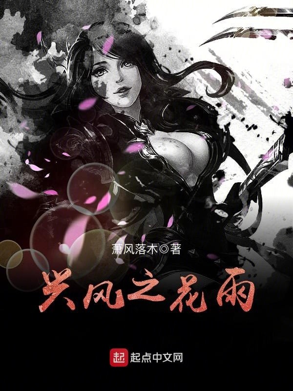 兴风之花雨封面