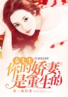 秦先生,你的娇妻是重生的封面