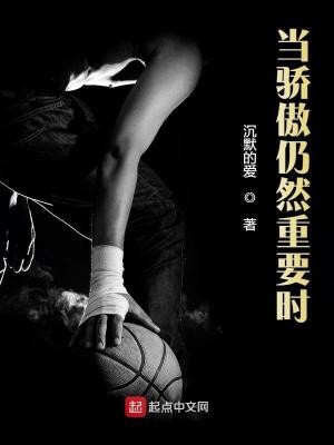 当骄傲仍然重要时封面