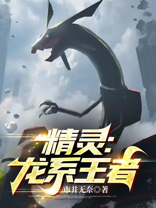 精灵:龙系王者封面