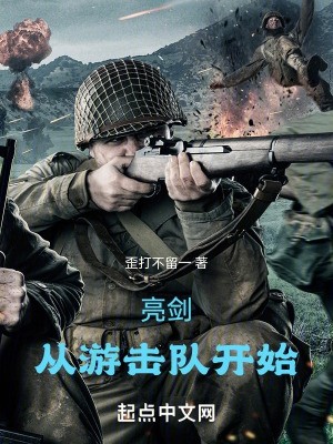 亮剑,从游击队开始封面