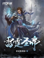 雷霆圣帝封面