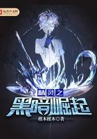 精灵之黑暗崛起封面