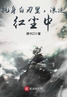 托身白刃里,浪迹红尘中封面