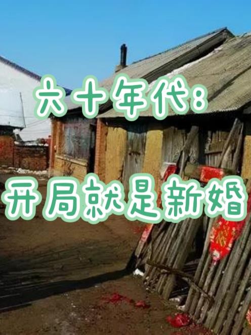 六十年代:开局就是新婚封面